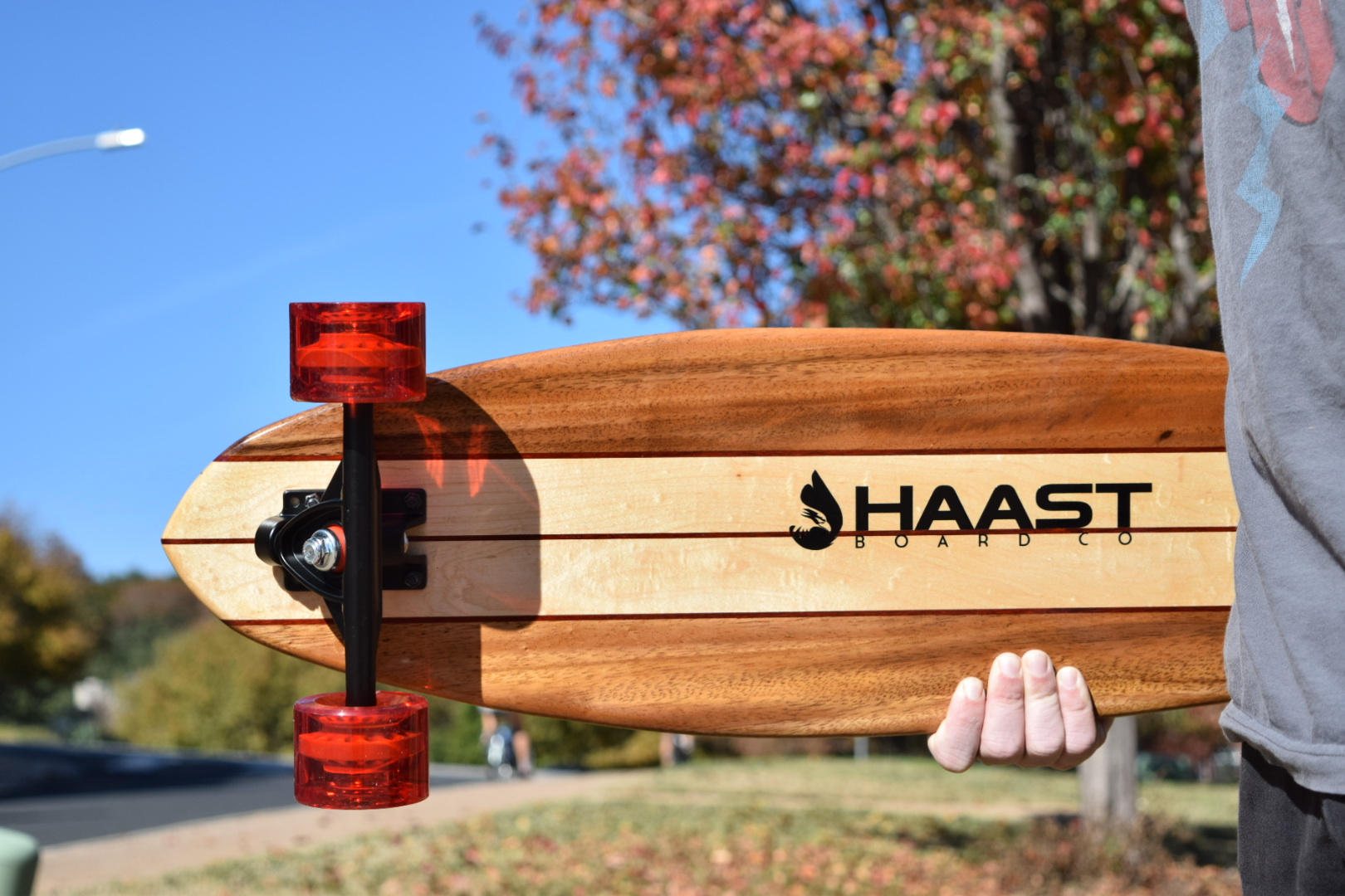 36" Canarywood and Maple Longboard - Image 5